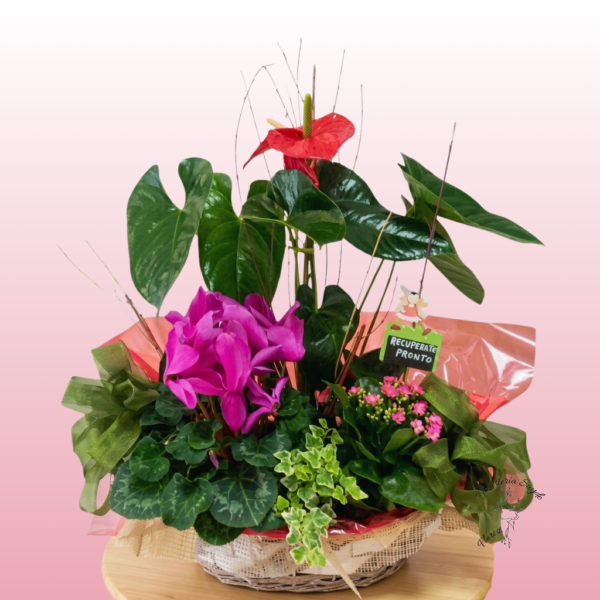 Cesta de plantas