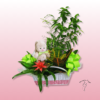 Cesta de plantas con peluche