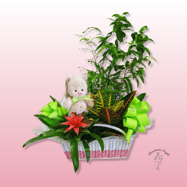 Cesta de plantas con peluche