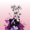 Orquídea decorada