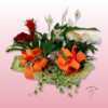 Cesta plantas con Guzmania y Spatifilium – Regalo ideal 2 Cesta plantas con Guzmania y Spatifilium