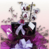 Orquídea decorada