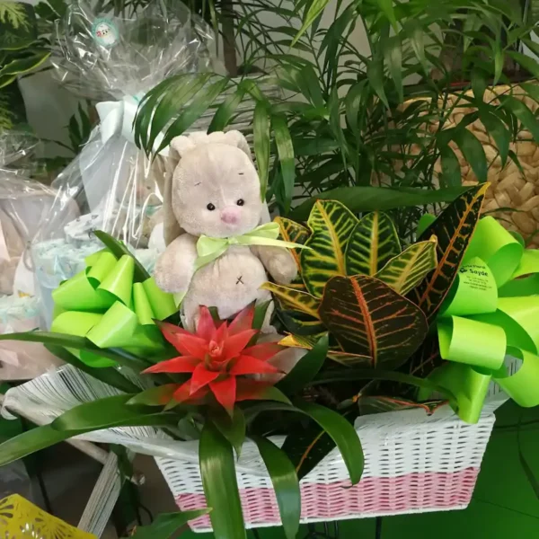 Cesta de plantas con adurno de peluche