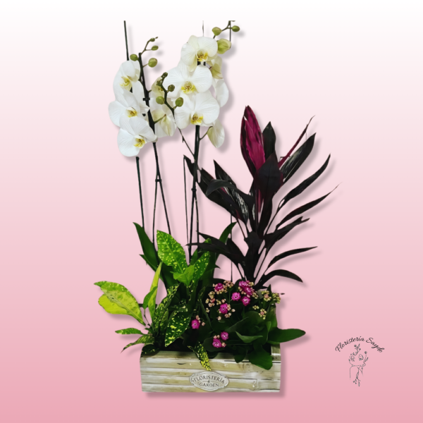 Centro de plantas con orquídea