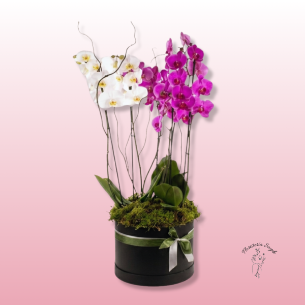 centro con orquídeas