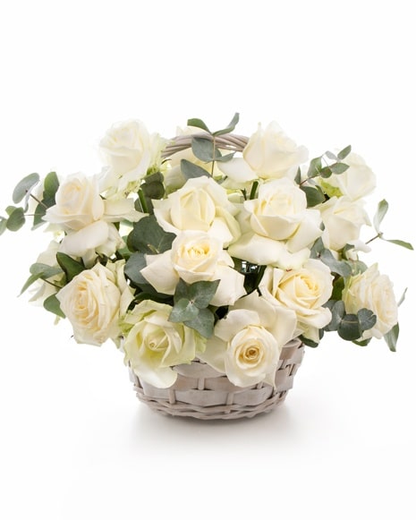 rosas blancas en cesta