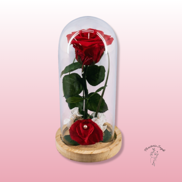 Rosa Preservada en cupula