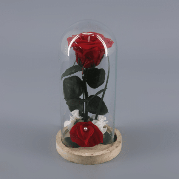 Rosa Preservada en cupula
