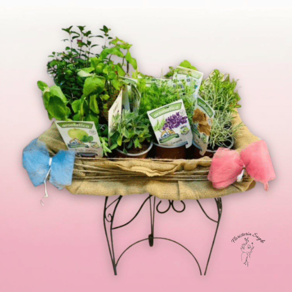 Cesta de plantas aromáticas