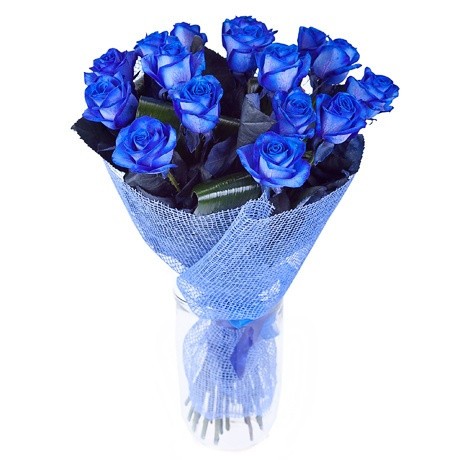 rosas azules zaragoza