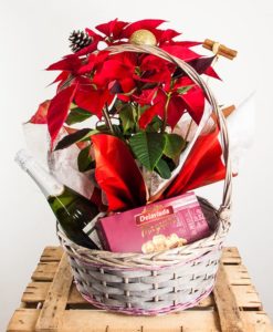 cesta de planta de navidad con chocolates y botella de cava