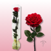 Rosa eterna grande - Floristería Sayde 1 rosa eterna grande
