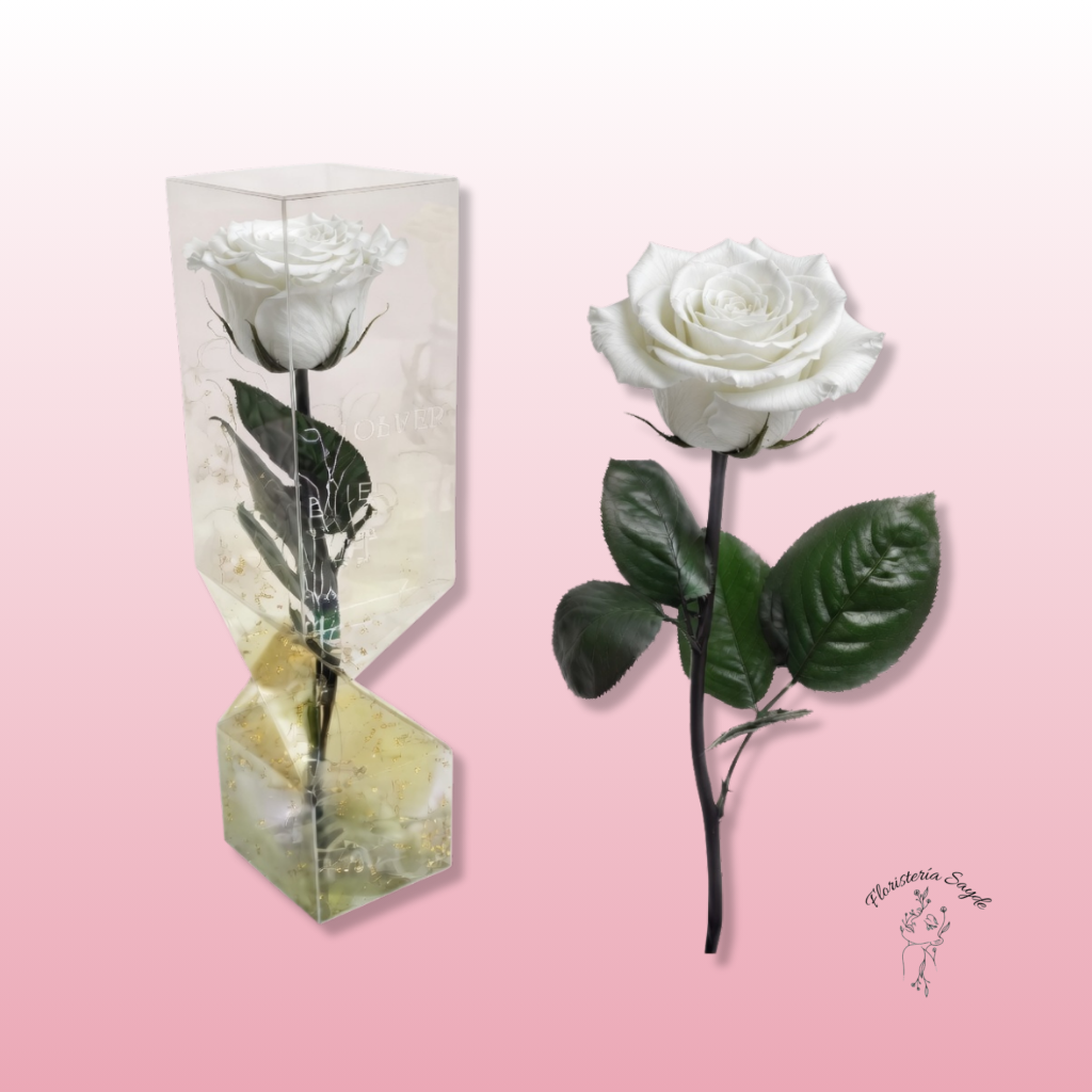 Floristeria Sayde (89) Rosa preservada tallo corto | Elegancia en varios colores 3