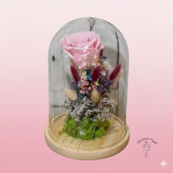cúpula rosa eterna rosa