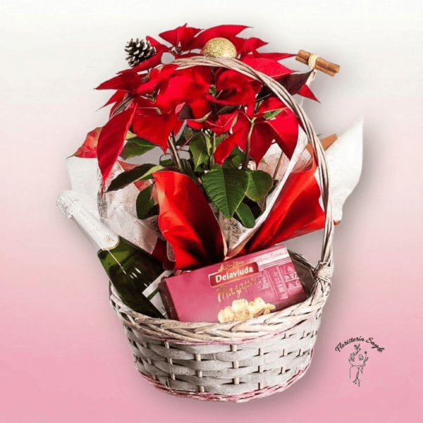 Cesta navideña con planta, dulces y cava
