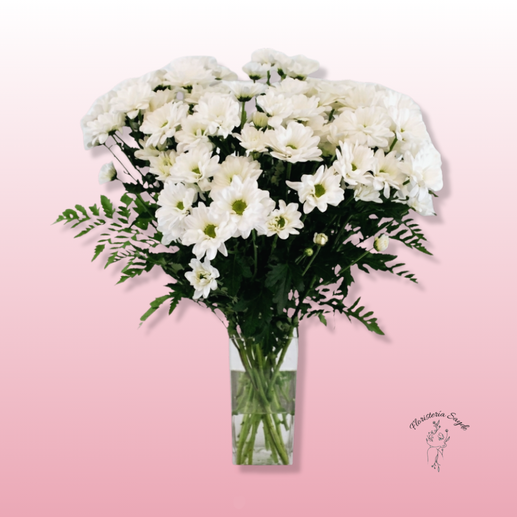 Floristeria Sayde - 2026-04-10T133113.854 Ramo de Margaritas de color blanco