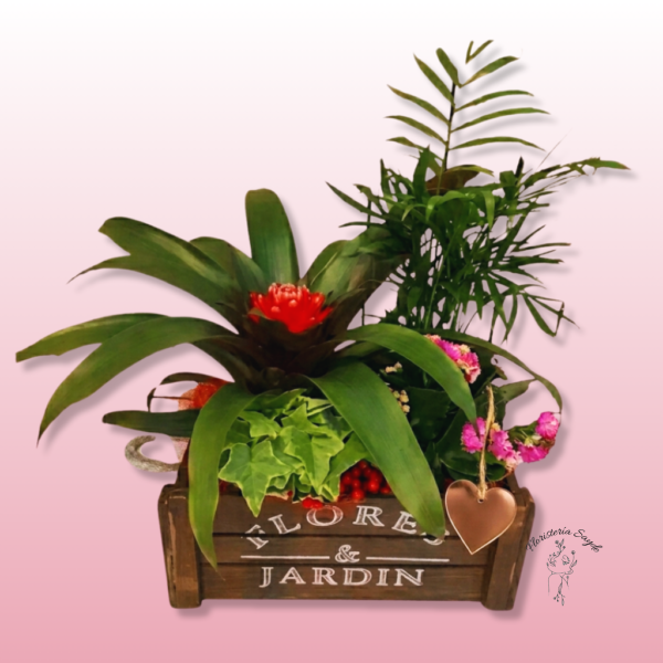 Arreglo de plantas en cesta de madera
