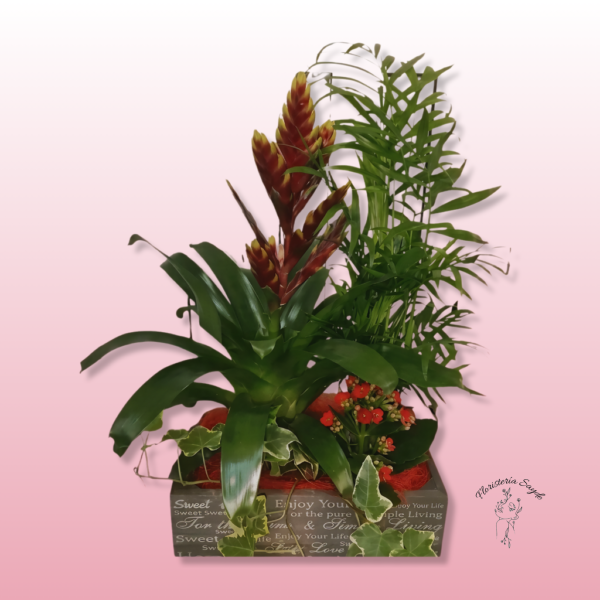 Cesta de plantas
