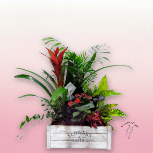 Composición de plantas en cesta de madera