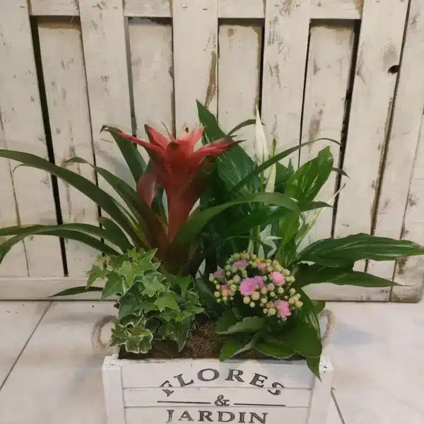 Decoración plantas en cesta de madera