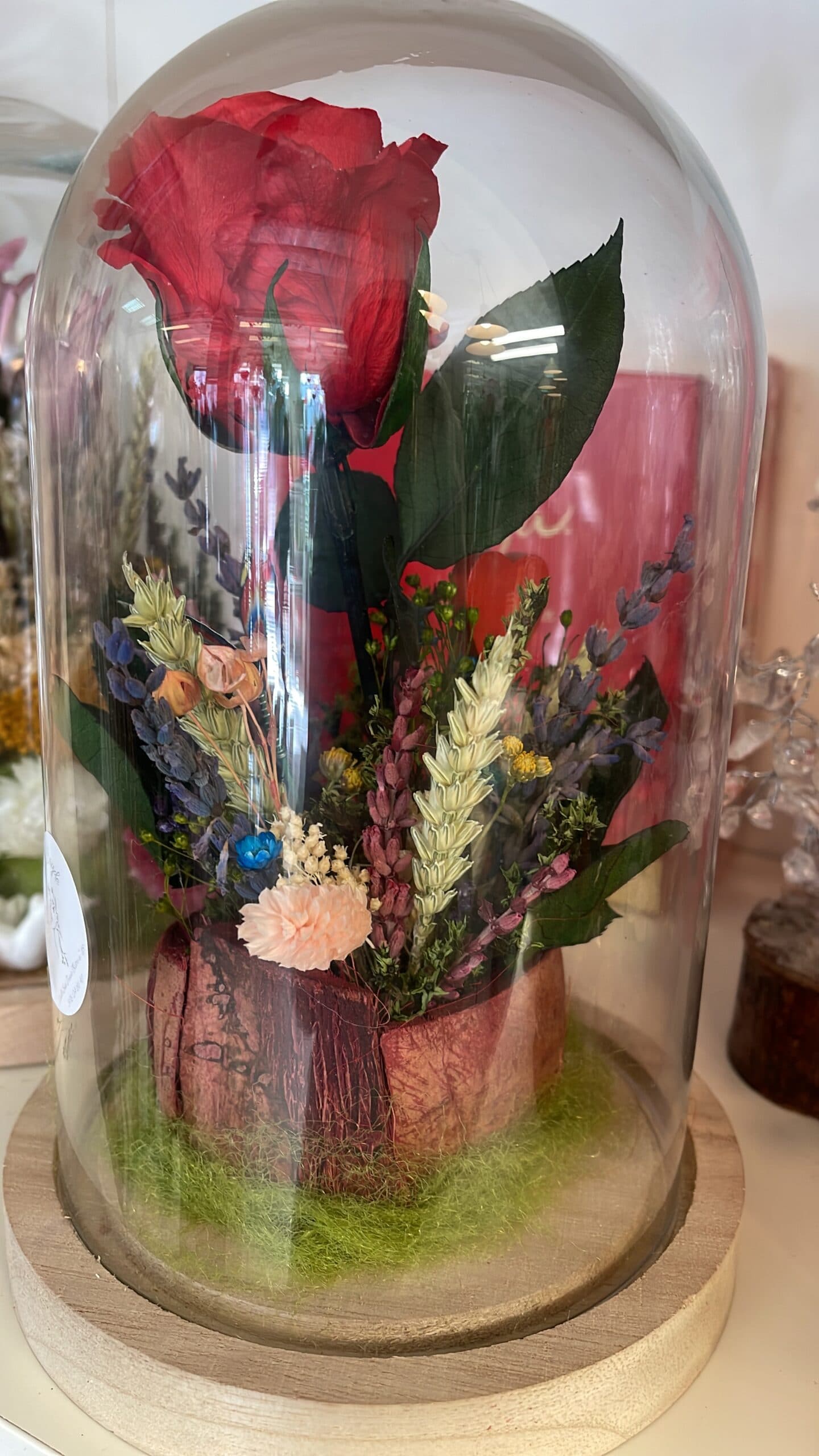 Cúpulas de diseño con flores preservadas - Floristeria Sayde