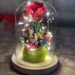 rosa preservada en cúpula con luces