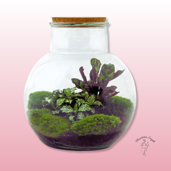 terrario esférico con plantas