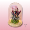 Cúpula con rosa eterna y luces | Floristería Sayde 1 cúpula con rosa eterna y luces