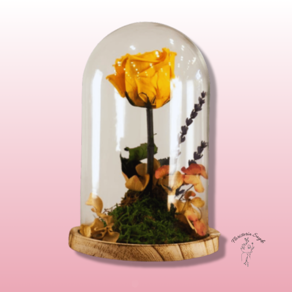 Rosa amarilla preservada en cúpula