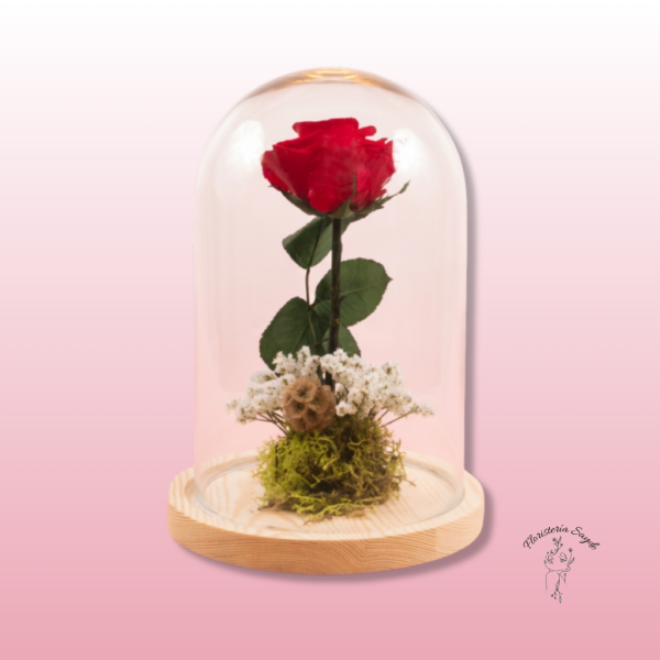Rosa Preservada en Cúpula