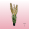 🌾 Pampa Artificial – Elegancia Natural en tu Hogar | Floristería Sayde 1 Pampa Artificial