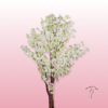 🌸 Almendro Artificial | Floristería Sayde | Zaragoza 2 Almendro Artificial