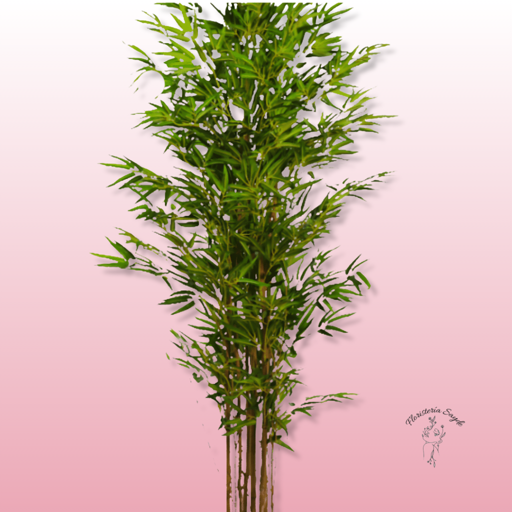 Floristeria Sayde - 2026-05-13T125413.968 Bambú Artificial