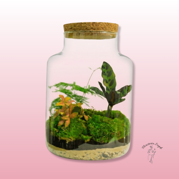 Terrario en Tarro de Cristal