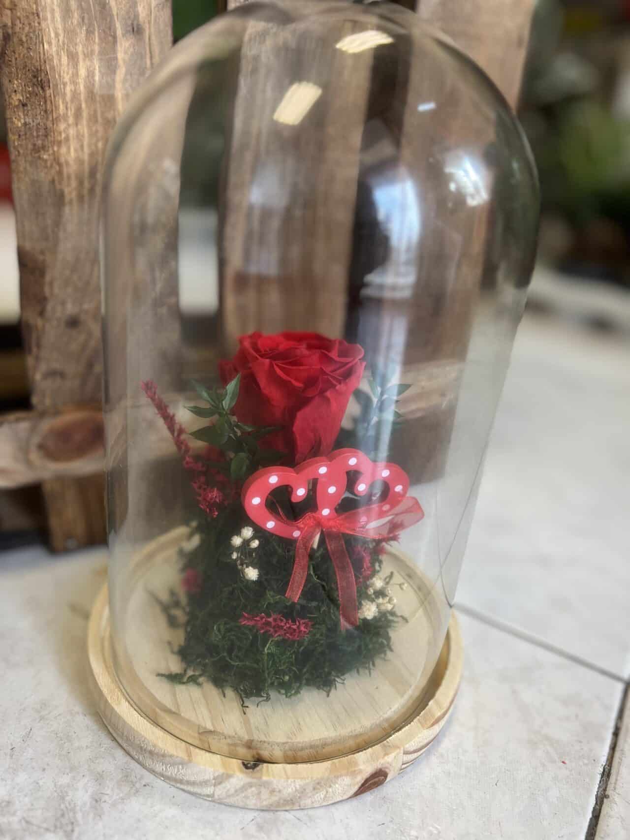 Rosa preservada en cúpula de vidrio con base de madera, decorada con musgo y corazones rojos, ideal para regalo de San Valentín