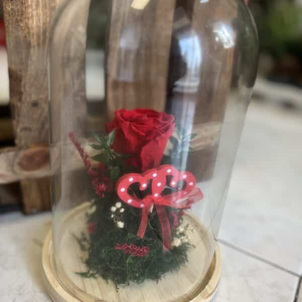 Rosa preservada en cúpula de vidrio con base de madera, decorada con musgo y corazones rojos, ideal para regalo de San Valentín