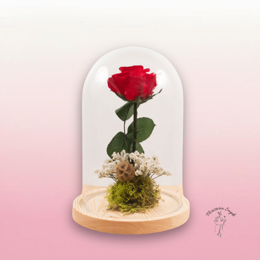 Rosa Preservada en Cúpula