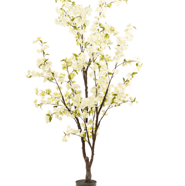 Cerezo Artificial Blanco de 175 cm en maceta, árbol decorativo realista con flores blancas, ideal para interiores, eventos y decoración elegante.