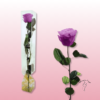 Rosa preservada tallo largo | Elegancia en múltiples colores 23
