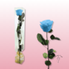 Rosa preservada tallo largo | Elegancia en múltiples colores 15
