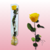 Rosa preservada tallo largo | Elegancia en múltiples colores 29