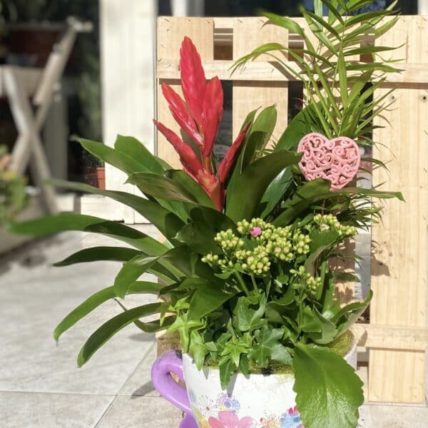 Arreglo floral en taza decorada con bromelia roja, pequeñas flores blancas y follaje verde variado, presentado por Floristería Sayde en Zaragoza. Un regalo original y encantador.