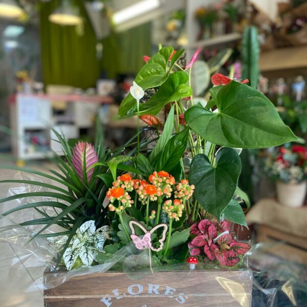 Arreglo floral anturios, vibrante con anturios rojos y blancos, calanchoes naranjas y follaje variado en caja de madera rústica con la inscripción 'FLORES & JARDIN'. Perfecto para regalar como detalle elegante y sofisticado de Floristería Sayde en Zaragoza.