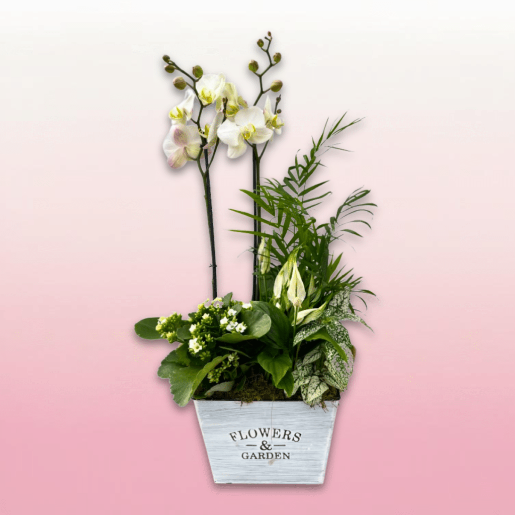 Arreglo Floral con Orquídea