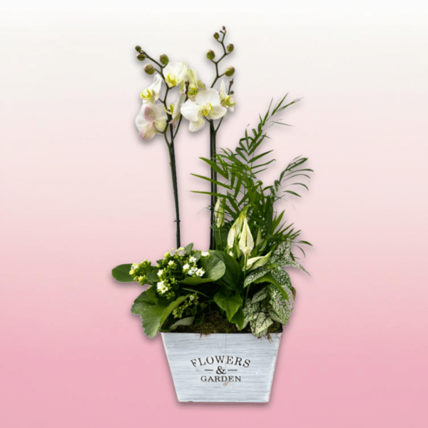 Arreglo Floral con Orquídea