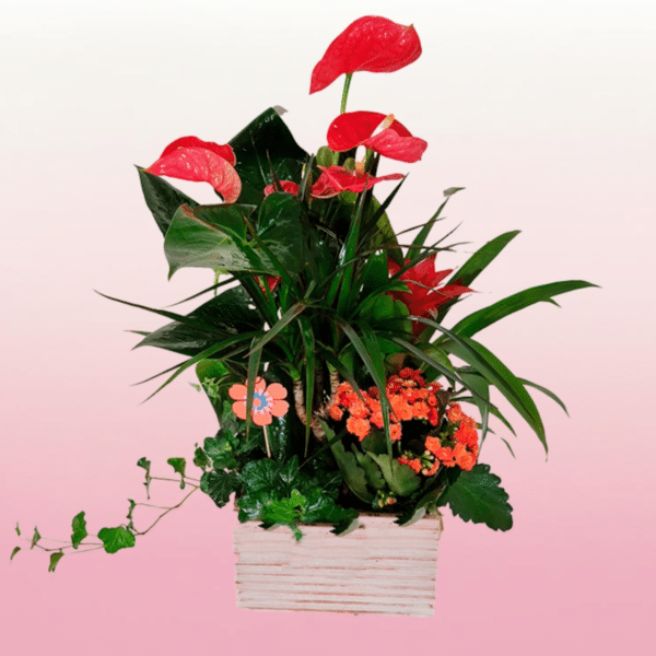 Arreglo Floral Anturios