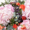 ramo de hortensias rosas