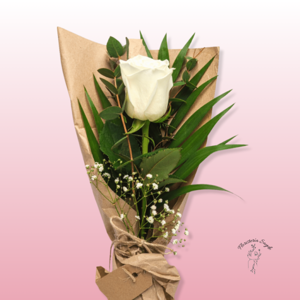 rosa blanca arreglada