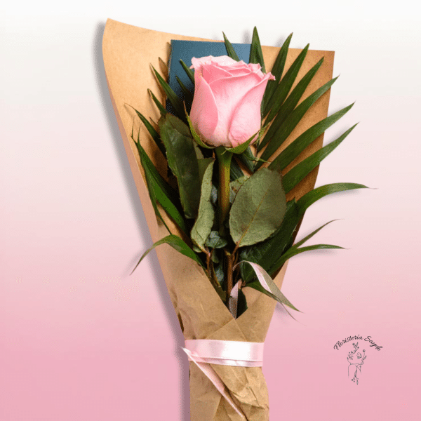 rosa rosada arreglada