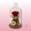 Rosa Preservada en Cúpula de Cristal Especial San Valetín 2 Rosa preservada en cúpula